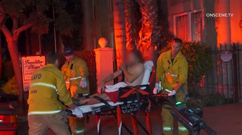 Man sitting in apartment shot through front door: LAPD 